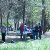 gruppo di Friburgo